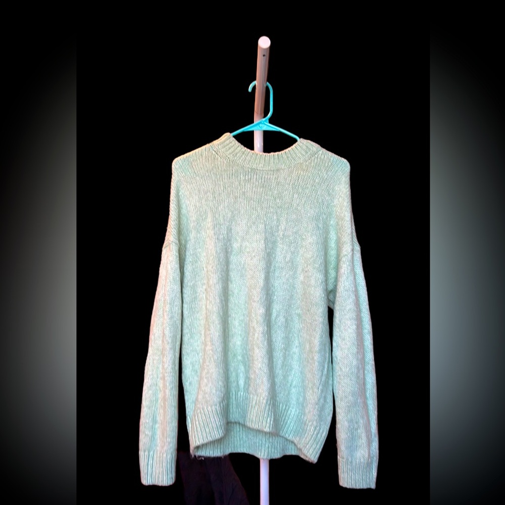 Ann Taylor XL Mint Sweater